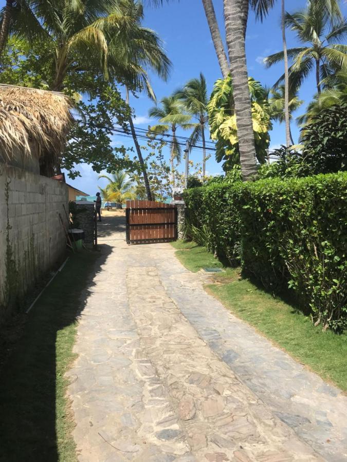 Cozy Oceanfront Villa With Direct Beach Access 라스테레나스 외부 사진